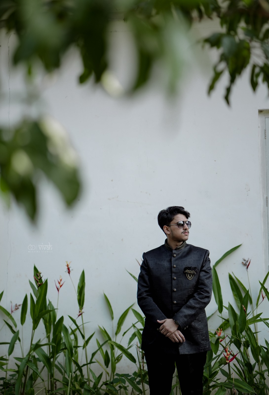 a forest after an apocalypse